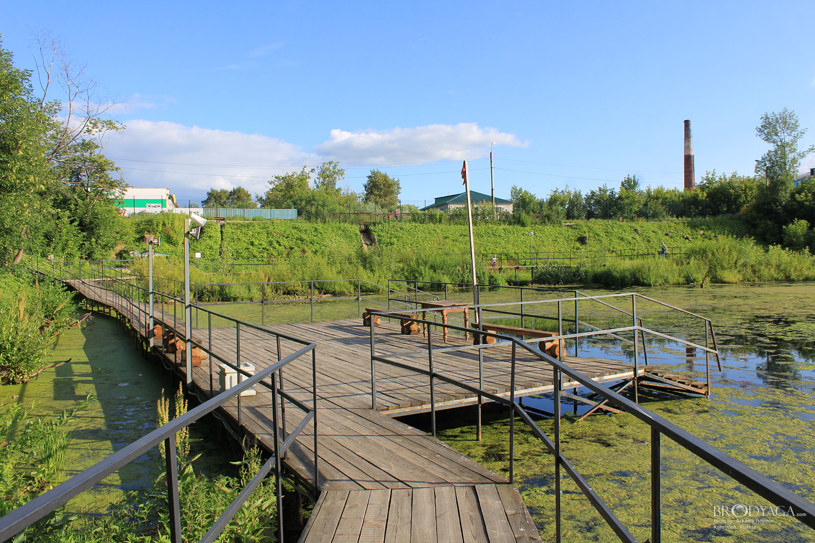 Kotelnich